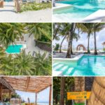 🌴 ZANZIBAR | QUANTUM ALCHEMY EXPERIENCE