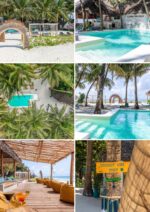 🌴 ZANZIBAR | QUANTUM ALCHEMY EXPERIENCE